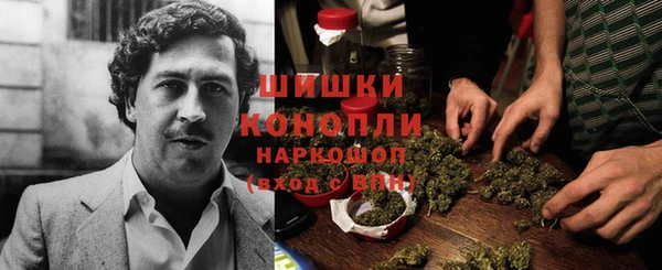 крисы Абдулино
