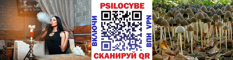 площадка официальный сайт  Нолинск  hydra рабочий сайт  Галлюциногенные грибы Magic Shrooms  продажа наркотиков 